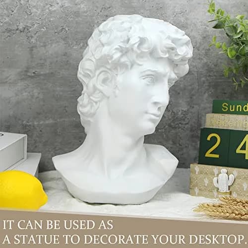 Norrclp 11in Greek Statue of David Bust, Classic Roman Head Sculpture | Resin Art Decoration thumbnail 6