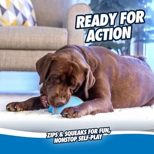 Chuckit! Indoor Super Slider Self-Fetch Squeaky Dog Toy, Durable Rubber thumbnail 5