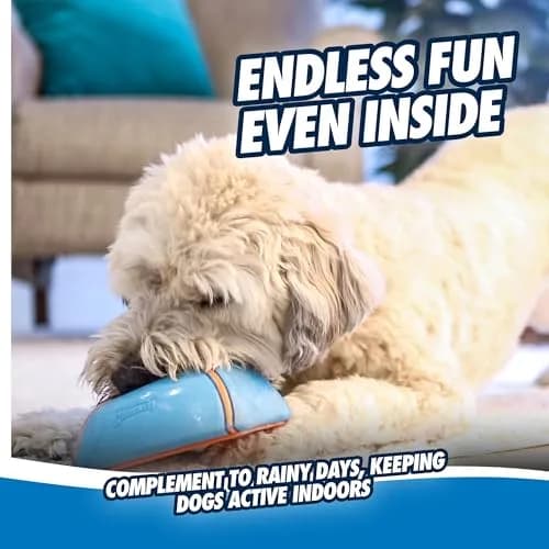Chuckit! Indoor Super Slider Self-Fetch Squeaky Dog Toy, Durable Rubber thumbnail 2