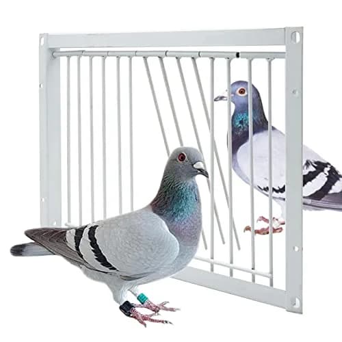 OIXXAF Pigeon Door Entrance 30cm (11.8in) x 26cm (10.2in) | One-Way Entry for Racing Pigeon Cages thumbnail 1