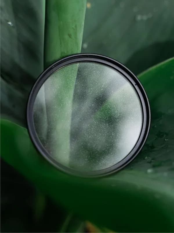 Tiffen 72mm Glimmerglass 1/4 Diffusion Filter | Cinematic Soft Glow for Portraits & Video thumbnail 10