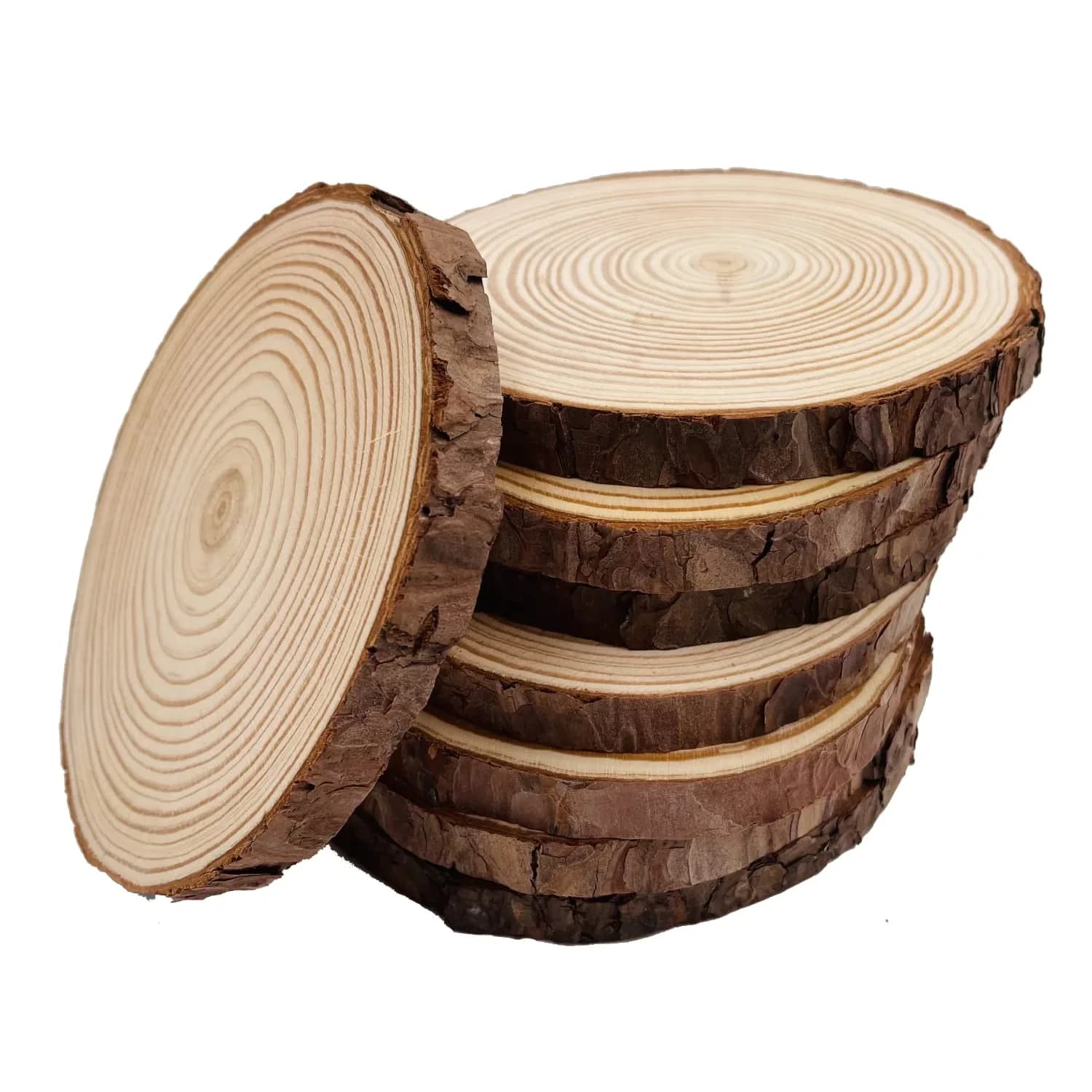 William Craft Natural Wood Slices with Bark 8 Pcs 14-15cm (5.5-6 inch) | Rustic Wedding & DIY Craft Wood Circles — 8Pcs 5.5-6 inch