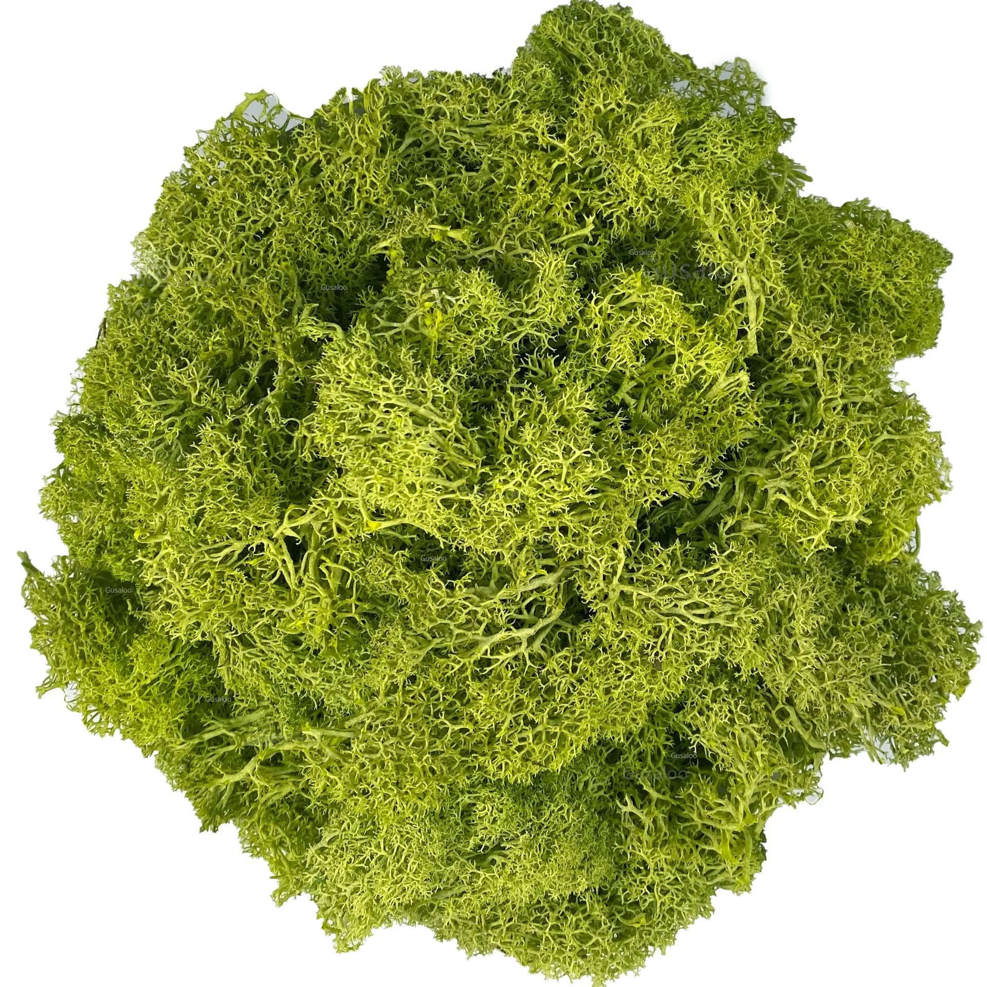Gusaloo Artificial Moss Preserved 3.5oz | Long-Lasting Indoor Decor for Craft & Floral