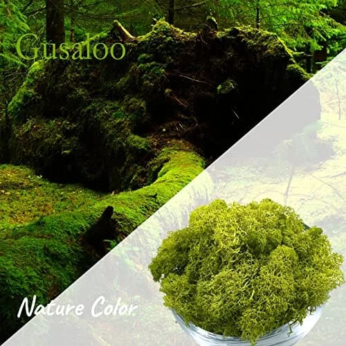 Gusaloo Artificial Moss Preserved 3.5oz | Long-Lasting Indoor Decor for Craft & Floral thumbnail 2