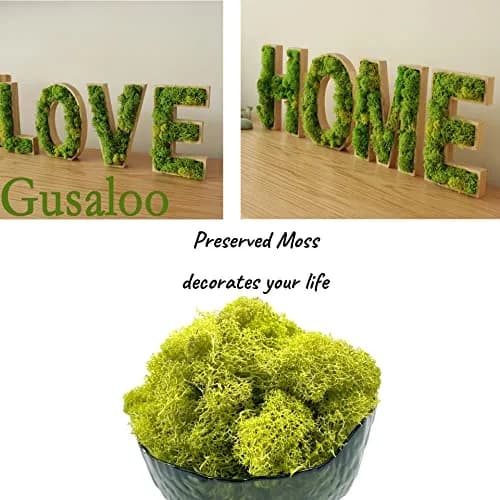 Gusaloo Artificial Moss Preserved 3.5oz | Long-Lasting Indoor Decor for Craft & Floral thumbnail 3
