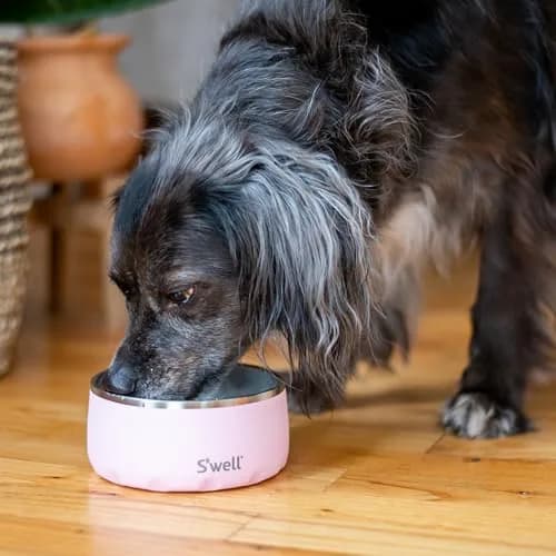 S'well Stainless Steel Pet Bowl 16oz (470ml) Pink Topaz | Non-Slip Base for Dogs thumbnail 5