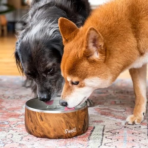 S'well Stainless Steel Pet Bowl 32oz (950ml) Teakwood | Non-Slip Base for Dogs thumbnail 5