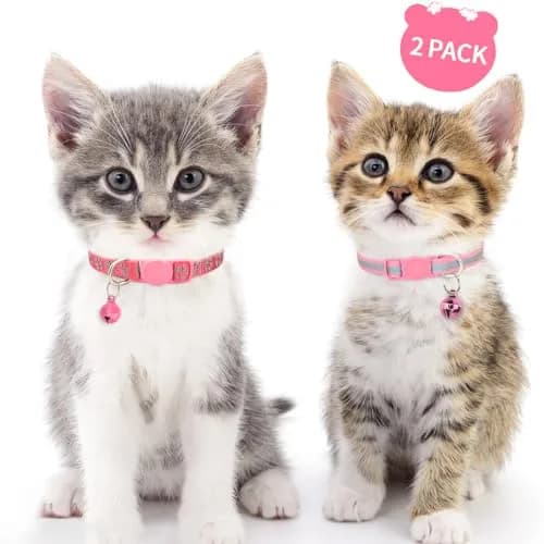 Taglory Reflective Cat Collar 6-8 in | Safety & Night Visibility (110 characters) thumbnail 2