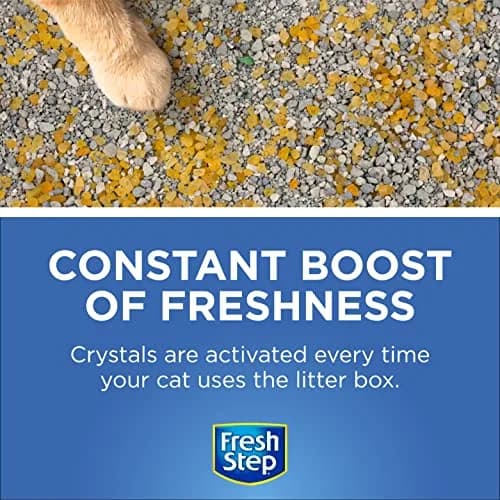 Fresh Step Cat Litter Crystals Deodorizer 15 Oz | Non Toxic Summer Breeze Odor Control thumbnail 3