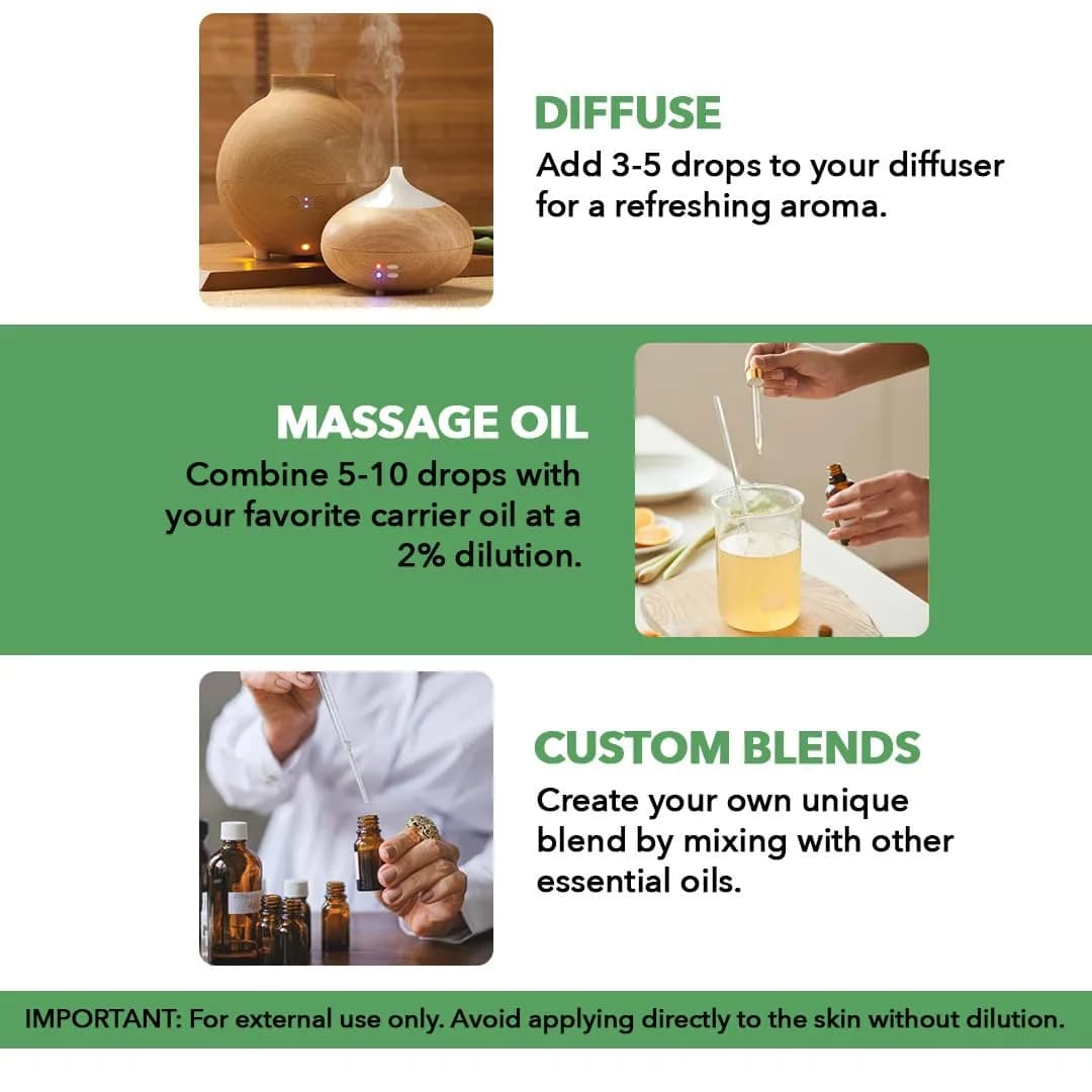 Majestic Pure Tea Tree Essential Oil 1 Fl Oz (30ml) | Pure & Natural for Diffuser, Aromatherapy, Soap & Candle Making thumbnail 2