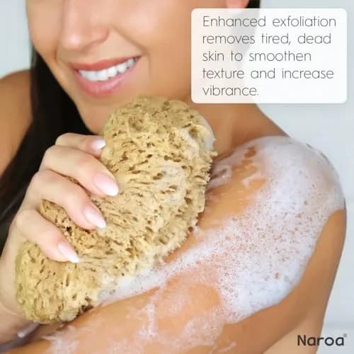 Naroa Exfoliating Natural Sponge for Shower Large | Bath Sea Loofah for Healthy Skin thumbnail 4