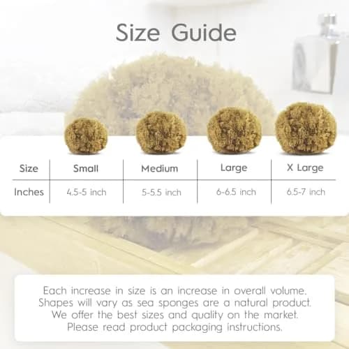 Naroa Exfoliating Natural Sponge for Shower Large | Bath Sea Loofah for Healthy Skin thumbnail 5