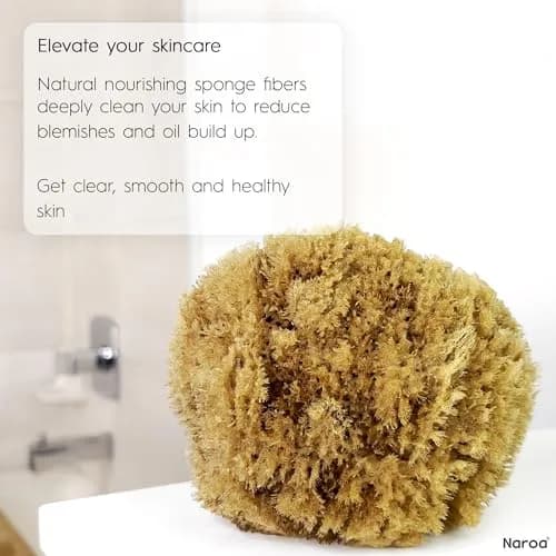 Naroa Exfoliating Natural Sponge for Shower Large | Bath Sea Loofah for Healthy Skin thumbnail 6