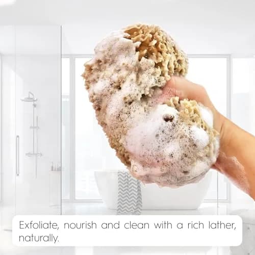 Naroa Exfoliating Natural Sponge for Shower Large | Bath Sea Loofah for Healthy Skin thumbnail 7