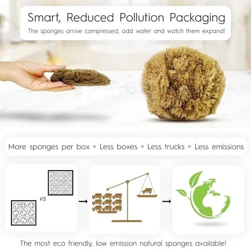 Naroa Exfoliating Natural Sponge for Shower Large | Bath Sea Loofah for Healthy Skin thumbnail 2