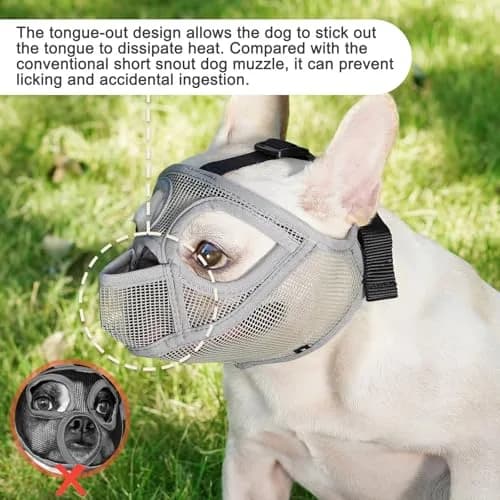 BARKLESS French Bulldog Muzzle, Full Panting Mesh Short Snout | Breathable, Adjustable for Large Dogs thumbnail 2