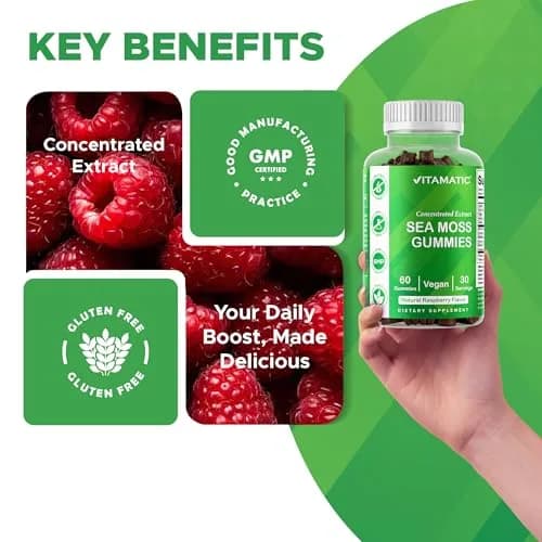 Vitamatic Sea Moss Gummies with Bladderwrack & Burdock, 60 Gummies | Vegan & Great-Tasting Herbal Supplement for Energy & Immunity thumbnail 7