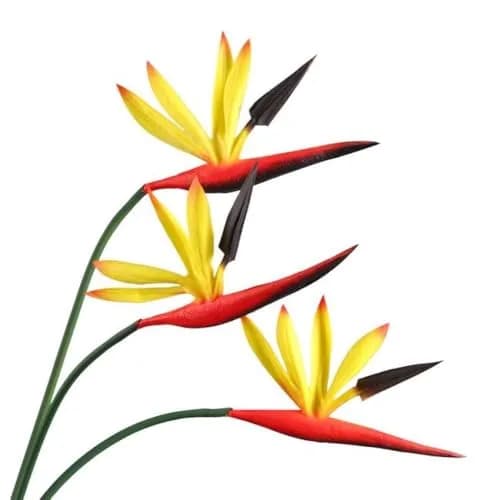 Corkwaw 8 Pack Artificial Bird of Paradise Flowers 55 cm (21-1/2 Inch) | Realistic Yellow Tropical Decor thumbnail 5