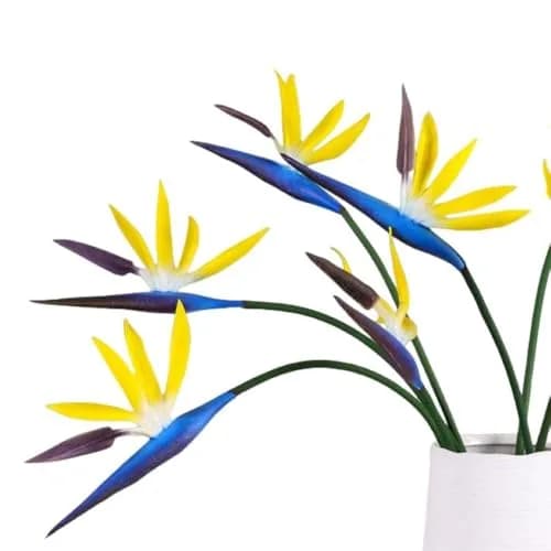 Corkwaw 8 Pack 55cm (21.5 Inch) Artificial Bird of Paradise Flowers | Realistic Ocean Blue Tropical Plant Decor thumbnail 7