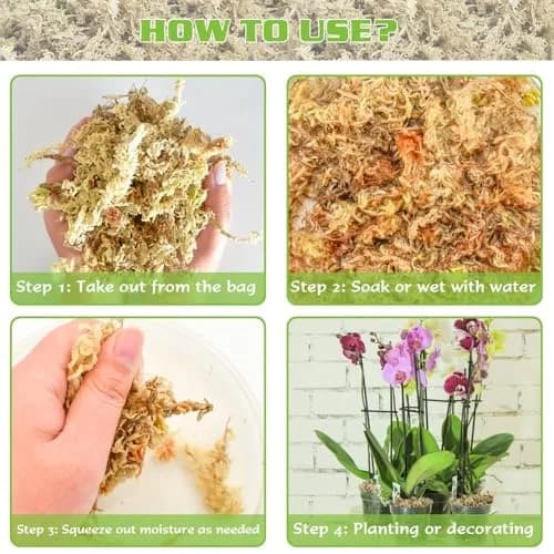 ZeeDix Natural Sphagnum Moss 6 oz (170g) | Long Fiber for Indoor Plants, Terrariums & Reptiles thumbnail 4