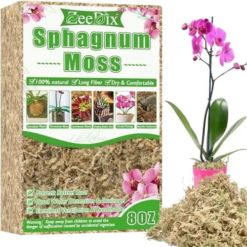 ZeeDix Natural Sphagnum Moss 8 oz (226g) | Expands to 12 qt for Indoor Plants & Reptiles thumbnail 1