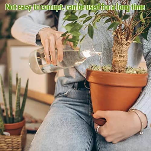 Legigo Premium Sphagnum Moss for Plants — 20 Quarts (Appx. 1.2 lb / 0.5 kg) | Natural Long Fiber Orchid & Succulent Soil thumbnail 6