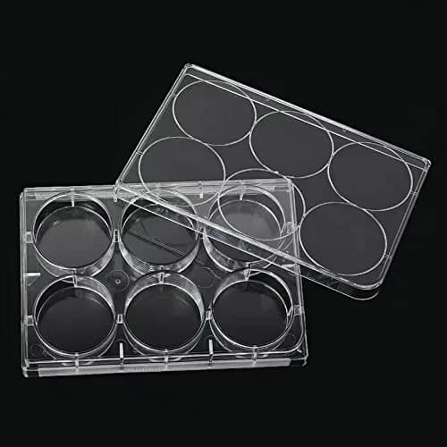 Lichen cottage 6-Well Tissue Culture Plate 15.9ml (Pack of 10) | Sterile, Individually Wrapped, Flat Bottom Wells thumbnail 5