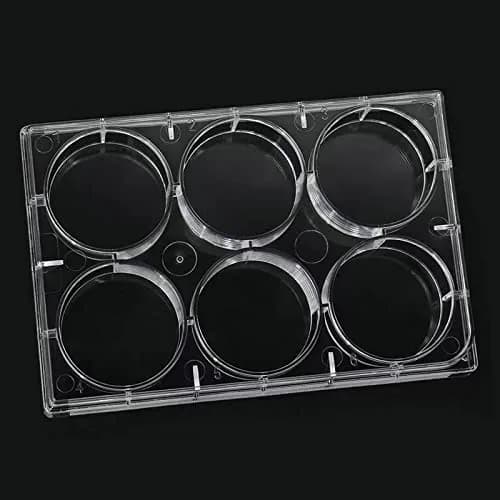 Lichen cottage 6-Well Tissue Culture Plate 15.9ml (Pack of 10) | Sterile, Individually Wrapped, Flat Bottom Wells thumbnail 6
