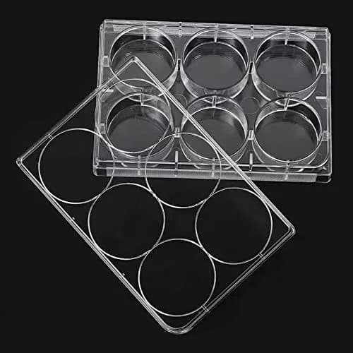 Lichen cottage 6-Well Tissue Culture Plate 15.9ml (Pack of 10) | Sterile, Individually Wrapped, Flat Bottom Wells thumbnail 3