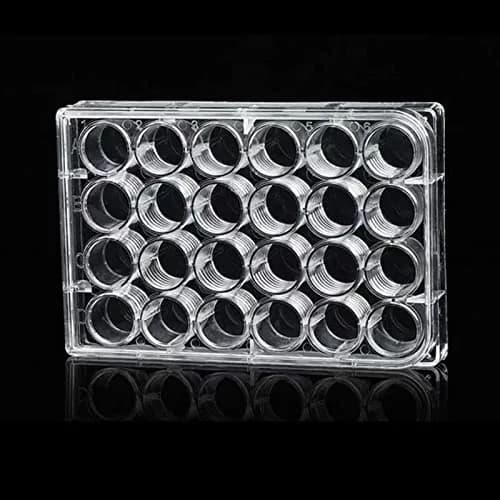 Lichen cottage 24-Well Tissue Culture Plate 3.4ml/well (Pack of 10) | Gamma Irradiated Labware for Cell Culture thumbnail 1