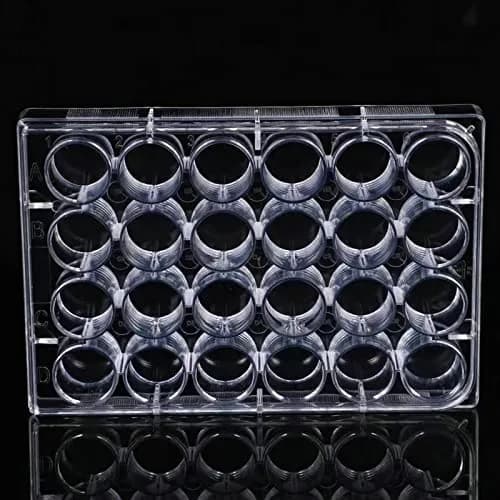Lichen cottage 24-Well Tissue Culture Plate 3.4ml/well (Pack of 10) | Gamma Irradiated Labware for Cell Culture thumbnail 5