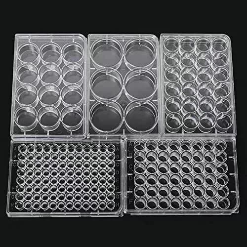 Lichen cottage 24-Well Tissue Culture Plate 3.4ml/well (Pack of 10) | Gamma Irradiated Labware for Cell Culture thumbnail 7