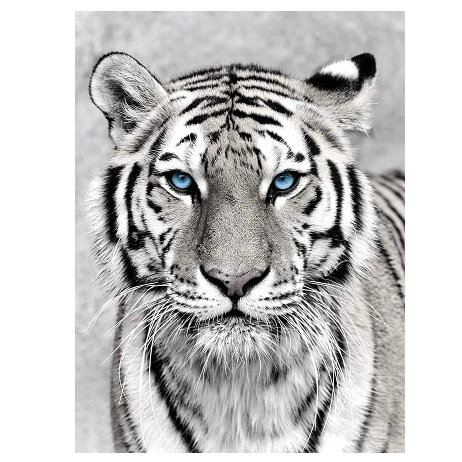 NAIMOER Tiger Diamond Art Kits for Adults, 5D Full Drill Animals Diamond Painting 30x40cm | Realistic Tiger Art for Home Wall Decoration