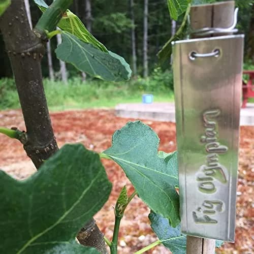 TINSKY Aluminum Plant Labels - 200PCS Metal Tags with Wires for Plant Markers, Tree Tags, Outdoor Identification and Greenhouse thumbnail 6