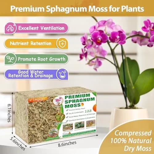 Legigo 2.2LB Sphagnum Moss for Plants | Natural Long Fibers Orchid Moss, 40QT thumbnail 2