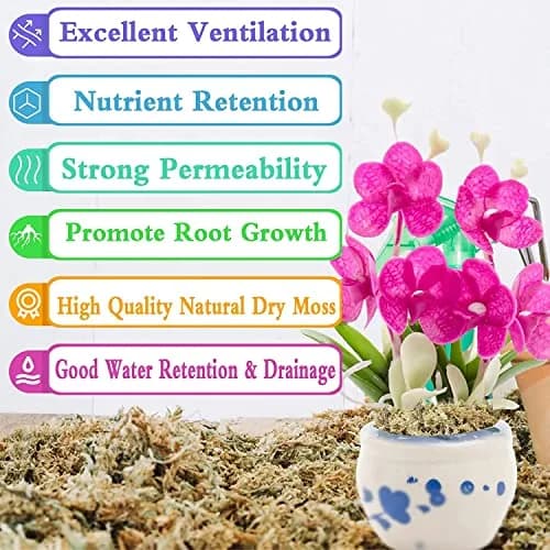 Legigo 2.2LB Sphagnum Moss for Plants | Natural Long Fibers Orchid Moss, 40QT thumbnail 3