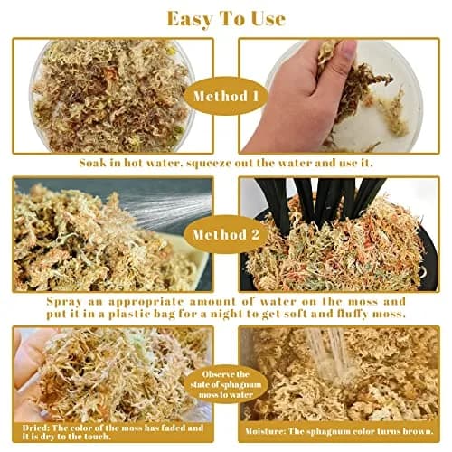 Legigo 2.2LB Sphagnum Moss for Plants | Natural Long Fibers Orchid Moss, 40QT thumbnail 4