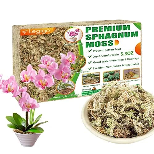 Legigo 5.3oz Sphagnum Moss for Plants | Natural Long Fibers Orchid Moss thumbnail 1