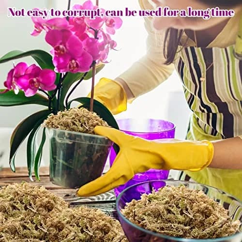 Legigo 5.3oz Sphagnum Moss for Plants | Natural Long Fibers Orchid Moss thumbnail 6