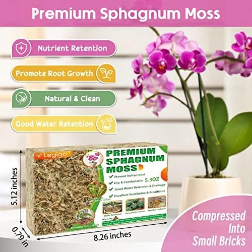 Legigo 5.3oz Sphagnum Moss for Plants | Natural Long Fibers Orchid Moss thumbnail 2