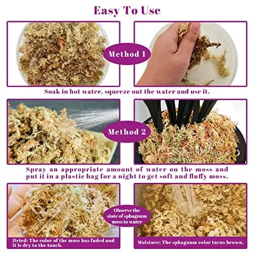 Legigo 5.3oz Sphagnum Moss for Plants | Natural Long Fibers Orchid Moss thumbnail 4