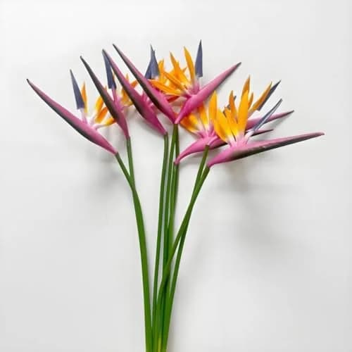 Corkwaw Purple Bird of Paradise Artificial Flowers 55cm (21.5 Inch) Pack of 8 | Realistic Style for Home Decor thumbnail 4