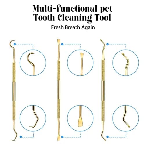Hotop Dog Tooth Scaler Scraper Dental Tool Stainless Steel,Gold | Pet Dental Care for Tartar Removal thumbnail 4
