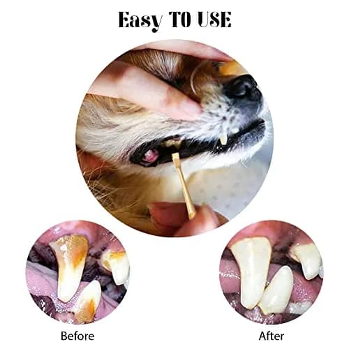 Hotop Dog Tooth Scaler Scraper Dental Tool Stainless Steel,Gold | Pet Dental Care for Tartar Removal thumbnail 5