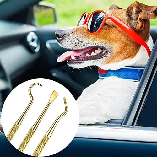 Hotop Dog Tooth Scaler Scraper Dental Tool Stainless Steel,Gold | Pet Dental Care for Tartar Removal thumbnail 6