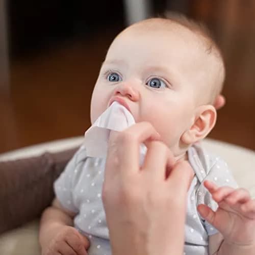 Dr. Brown's Infant Oral Care Bundle: Toothbrush, Toothpaste & Wipes | BPA-Free, Natural Ingredients thumbnail 6