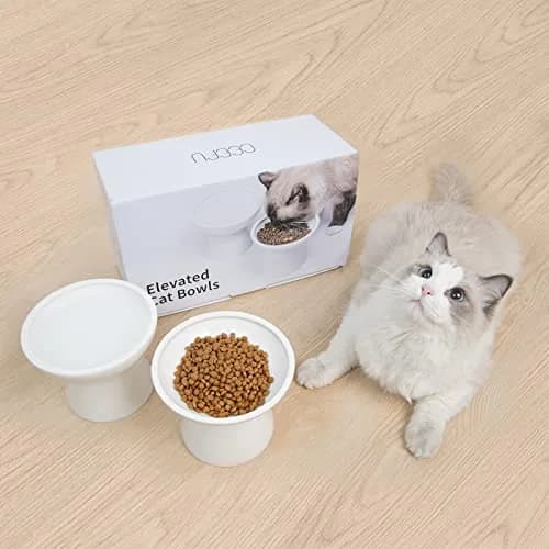 CEEFU 2-Pack Elevated Ceramic Cat Bowls Extra Wide for Food & Water | Whisker-Friendly, Stable & Stylish thumbnail 4