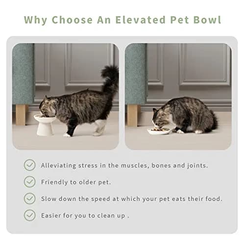 CEEFU 2-Pack Elevated Ceramic Cat Bowls Extra Wide for Food & Water | Whisker-Friendly, Stable & Stylish thumbnail 5