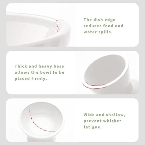 CEEFU 2-Pack Elevated Ceramic Cat Bowls Extra Wide for Food & Water | Whisker-Friendly, Stable & Stylish thumbnail 6