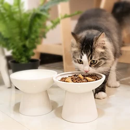 CEEFU 2-Pack Elevated Ceramic Cat Bowls Extra Wide for Food & Water | Whisker-Friendly, Stable & Stylish thumbnail 7